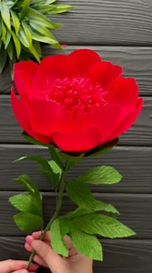 39K views · 1.1K reactions | Beautiful Crepe Paper Peony Flower #diycrafts #diy #flower #homedecor #papercrafts #paperflowers | Origami Amazing | Facebook