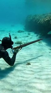 740K views · 6.5K reactions | #scubadiving #fishing #diving #underwater #underthesea | Taylor Ocean | Facebook