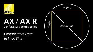 The Nikon AX/AX R #confocal #microscopy system sets the new industry standard for field of view (FOV) and scan size in a confocal system, boasting a 25mm FOV and up to 8192 x 8192-pixel acquisitions – making it easier to fit entire samples in the FOV without tiled acquisition. #NikonHealthcare Click to learn more: https://www.microscope.healthcare.nikon.com/products/confocal-microscopes/ax | Nikon Microscope Solutions