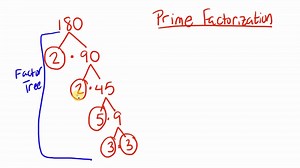3K views · 73 reactions | Let's learn amazing trick to find Prime Factors of a number at your fingertips. Courtesy: Mr. Ace Math (bit.ly/MrAceMath) Language: English | Maths at Your Fingertips | Facebook