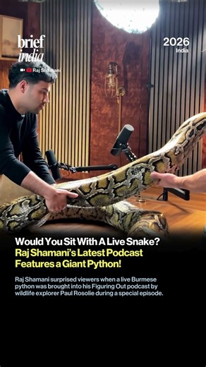 Live Python On Raj Shamani Podcast Leaves Viewers Stunned.