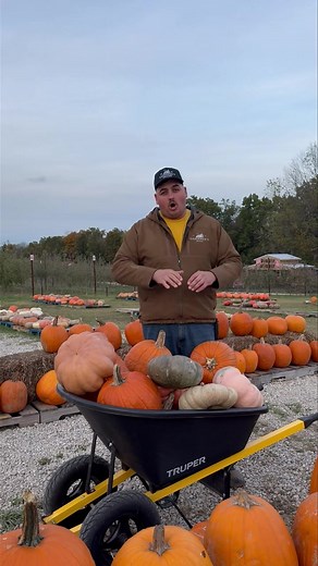 5.1K views · 33 reactions | ⏰ Last chance! Last day open for the...