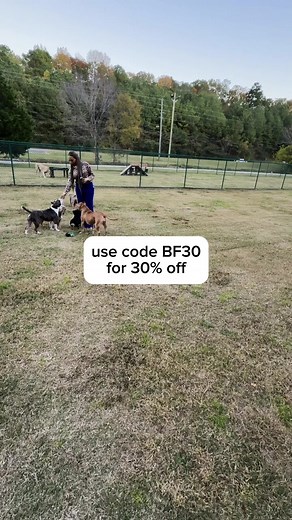 5.9K views · 3.1K reactions | ✨ 헕헜헚헚험헦헧 헦헔헟험 헢헙 헧헛험 헬험헔헥 ✨ The...