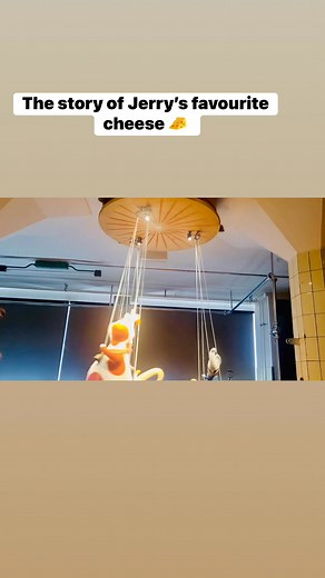 The history of Emmental cheese 🧀 and how cheese making spread around the world. #emmentaler #emmental #cheese #switzerland #traveltheworld Part 4 | Gardening in England