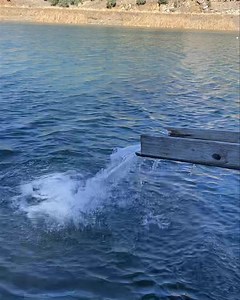 Alto Lake in Ruidoso, New Mexico was also JUST stocked with 300 lbs of rainbow trout! All fish are 14 to 20 inches and weighed between 1 pound and 3 1/2 pounds. Good luck fisherman!! 🎣 | Ruidoso Parks and Recreation