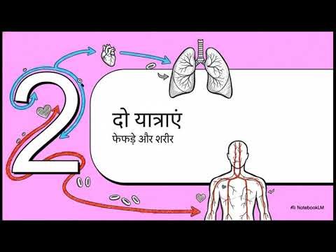 The Journey of Blood: हमारा Circulatory System कैसे काम करता है?