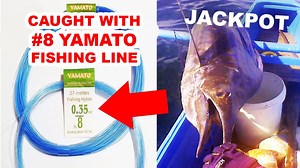 37K views · 1.3K reactions | Amazing catch using No.8 Yamato 14lbs...