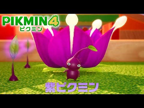 シリーズ最強！チートすぎると話題の紫ピクミン登場『ピクミン4』#10