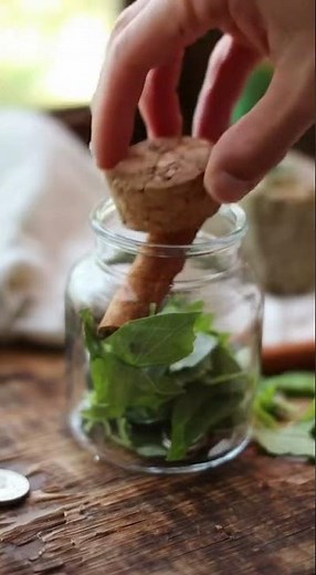 Fast & Easy Money Spell for Instant Wealth Manifestation 🌿💸