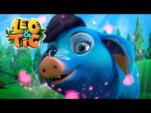 LEO and TIG 🦁 NEW 🐯 Episode 25 - Cuba in Love ❤️ Moolt Kids Toons Happy Bear