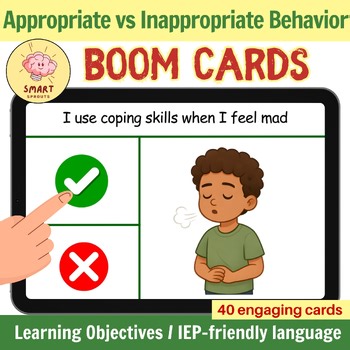 Appropriate vs Inappropriate Behavior for Autism & K | Digital Boom cards