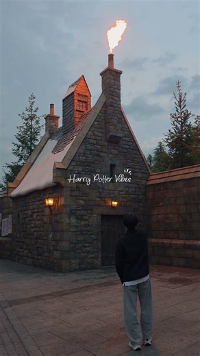 POV: You entered the Harry Potter universe 🪄🇯🇵 #harrypotter #osaka #travel #japan #harrypptterfan