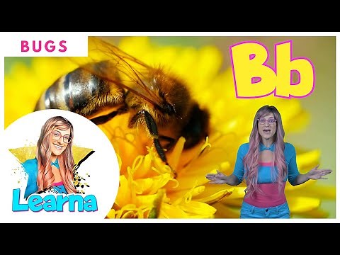 Bug ABC Song | Insect Phonics Song | Identify Letters and Letter Sounds With Insects