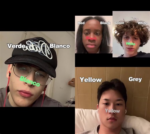 Interactive Color Identification Challenge