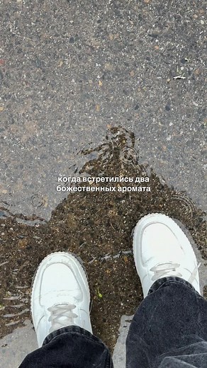 Запах свежескошенной травы и запах после дождя — почему они божественны