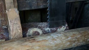 clip-4600031-old-fashioned-saw-cutting-through-wood