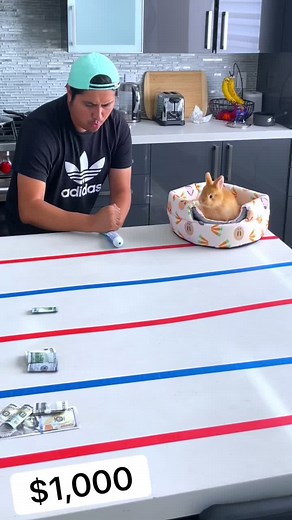 Money Toothpaste Challenge! 10 @maddie_dean @talfishman