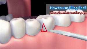 Plastic Double-headed Oral Care Dental Brush Floss Pick Teeth Sticks - Pack of 250 approx