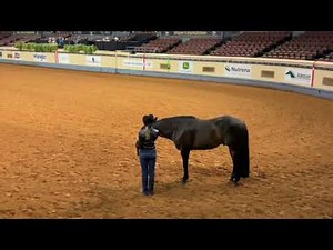 Nutrena Ride the Pattern Clinic: Showmanship | 2023 AQHYA World Show