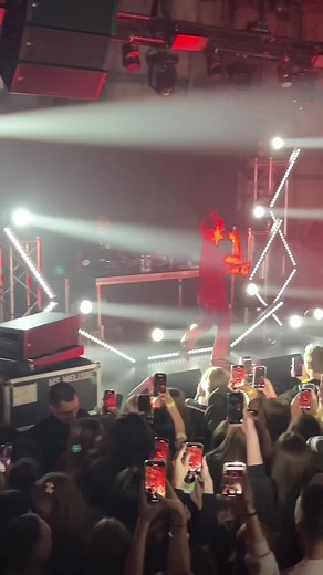 Live DJ Concert Performance Captivating Enthusiastic Crowd