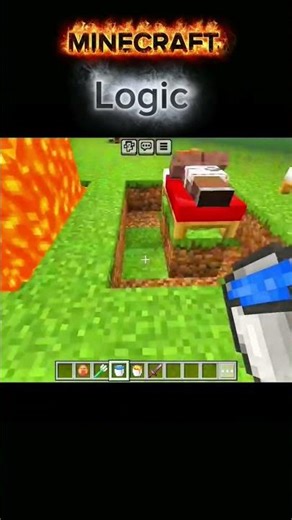 Minecraft logic...💀