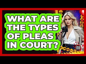 What Are the Types of Pleas in Court?