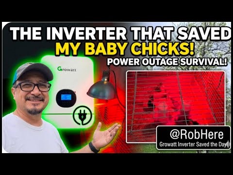 Growatt SAVED My Baby Chicks! 🐣 Emergency Power Outage DIY Fix