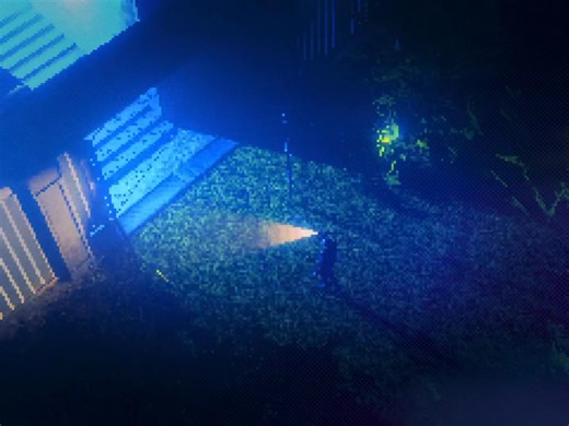 325 reactions · 20 shares | 罹 OK, we went pretty hard with this idea!...