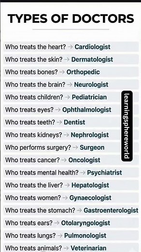 Common Types of Doctors You Should Know