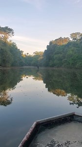 Boat ride in the Guyana rainforest, we just love the calmness. #VisitGuyana | Visit Guyana