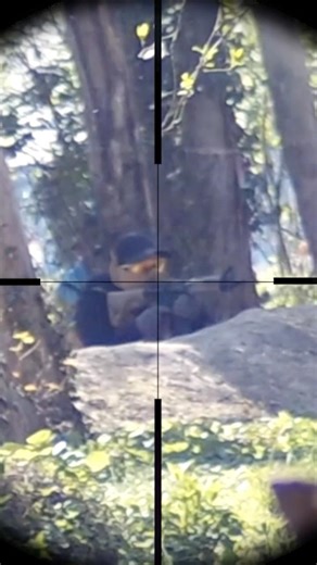 Which Shot Was Best?