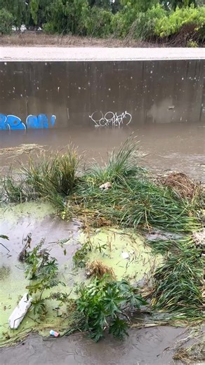 37K views · 113K reactions | Firefighters Rescue Dog Trapped by...