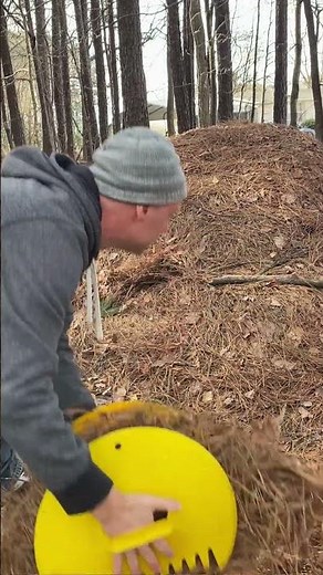 The Easiest Way to Pick Up Leaves, Pine Needles and Lawn Clippings #Short #gardencleanup #gardentool