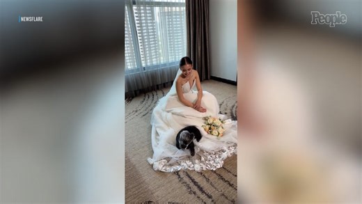 Senior Pet Dog Curls Up and Falls Asleep on Bride's Wedding Dress to Say ‘Goodbye’ as She Prepares to Live with Husband