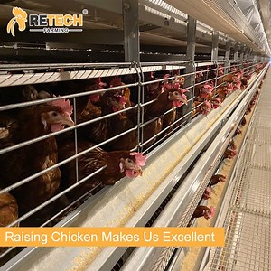 [Hot Item] Automatic Chicken Cage Poultry Raising Equipment for Large Scale Poultry Farm