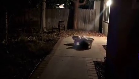 Man builds a scary robot for halloween at home - Video