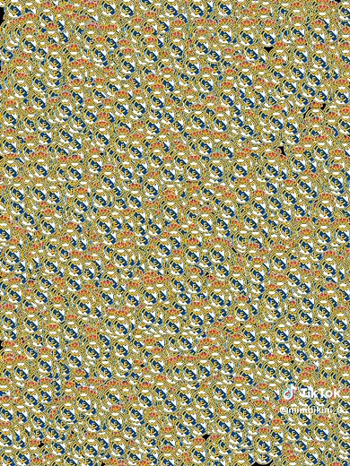 MINI BIKINI (@minibikini_0)’s videos with original sound - UTSHAB^DON - utshabbbb