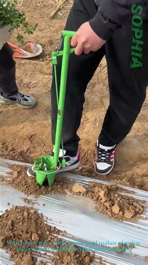 Planting Watermelon Seedlings the Fast, Easy Way!