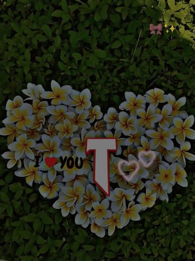 Exploring the Letter T: Fun and Creative Ideas