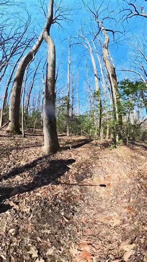 Caledon State Park - 10 Mile Long Run - Belmont Trail