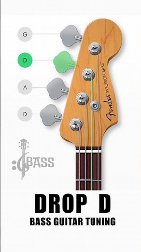How To Tune a Bass Guitar (Drop D - 4 Strings) By ‪@ChamisBass‬ | ‪@fender‬ #chamisbass #shorts