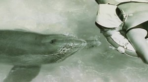 New documentary finds woman who talked to dolphins