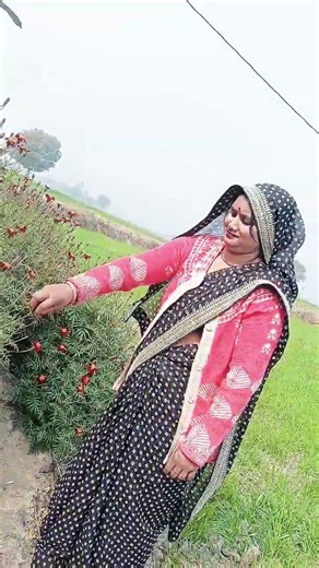 #bhojpuri #bhojpurisong #trending #video #video #comedy #youtubeshorts #youtubeshorts