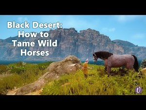 Black Desert Online (BDO) - How to Tame a Horse