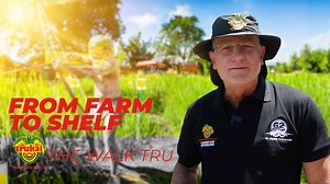 377 reactions · 24 shares | From paddy to plate Trukai brought agriculture to life at the 62nd Morobe Show! ‍‍ Watch this video and see how we’re growing with our communities and showcasing the heart of PNG farming. ✨ #TrukaiIndustries #MorobeShow #Agriculture #RiceFarming #SmartFarmerProgram #agri #PNG #papuanewguinea #TIL | Trukai Industries Limited | Facebook