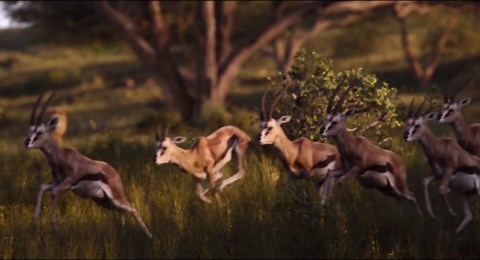 Official new ‘Lion King’ trailer reveals first look at Timon and Pumbaa