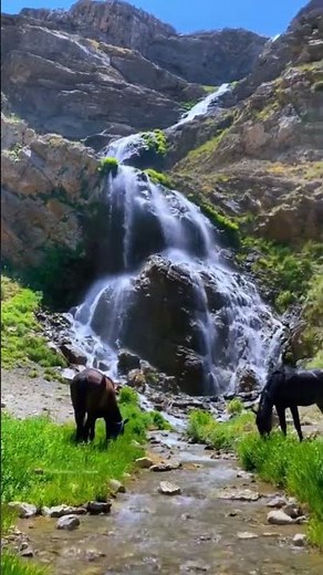 #keşfet #keşfetbeniöneçıkar #kürtçemüzik #kürtçeşarkılar #kürtçevideolar #4k #hd #kürtçe #diyar