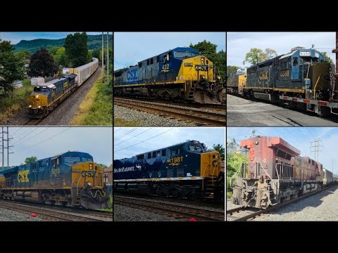 New Symbols, Busy Action & Rare Catches on CSX's River Line