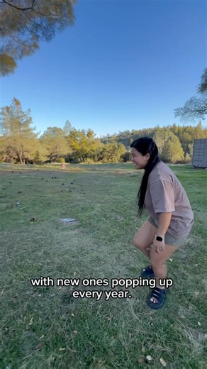 Here are some fun and interesting facts about Frisbee Golf (Disc Golf) that most people don’t know 🥏👇 🥏 1. It’s Been Around Since the 1970s Disc golf officially started in the 1970s, though people were tossing frisbees at trees and trash cans long before that. The first permanent course was built in 1975 in Pasadena, California. 🌳 2. It’s Played Just Like Traditional Golf The goal is the same — get the disc in the “hole” (basket) in as few throws as possible. The main difference? Your clubs 