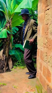 858K views · 37K reactions | Mood activate #fypシ゚viralシfypシ゚viralシalシ2024lシalシ #fypシ゚viralシfypシ゚ #fypシ゚viralシfypシ゚viralシalシ @top fans Ba Siano | Ba Siano | Facebook